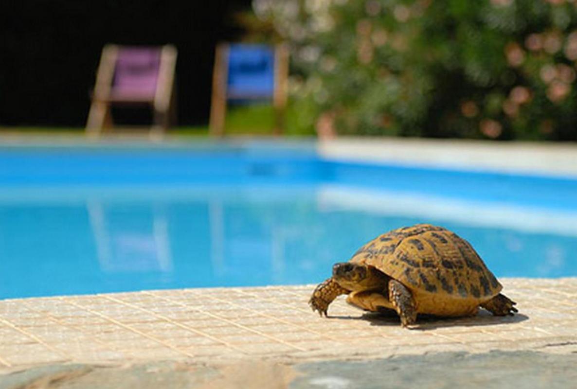 Sun Beach Ajaccio  Exteriér fotografie